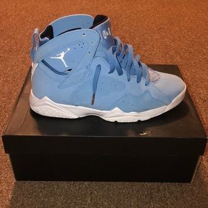 Jordan 7 Pantone